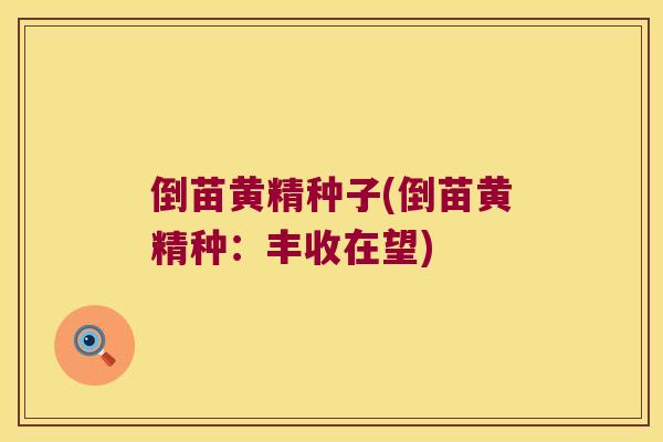 倒苗黄精种子(倒苗黄精种:丰收在望) 倒苗黄精种子(倒苗黄精种:丰收在望)