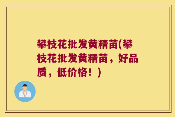 攀枝花批发黄精苗(攀枝花批发黄精苗,好品质,低价格!) 攀枝花批发黄精苗(攀枝花批发黄精苗,好品质,低价格!)