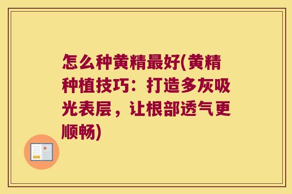 怎么种黄精好(黄精种植技巧：打造多灰吸光表层，让根部透气更顺畅)