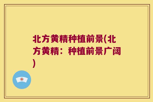 北方黄精种植前景(北方黄精:种植前景广阔) 北方黄精种植前景(北方黄精:种植前景广阔)