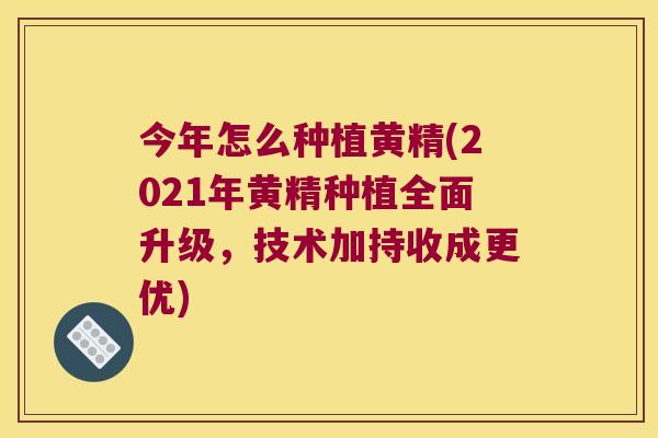 今年怎么种植黄精(2021年黄精种植全面升级,技术加持收成更优) 今年怎么种植黄精(2021年黄精种植全面升级,技术加持收成更优)