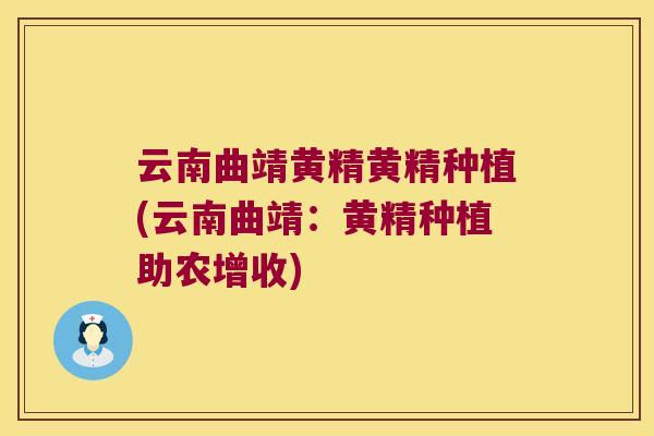 云南曲靖黄精黄精种植(云南曲靖:黄精种植助农增收) 云南曲靖黄精黄精种植(云南曲靖:黄精种植助农增收)