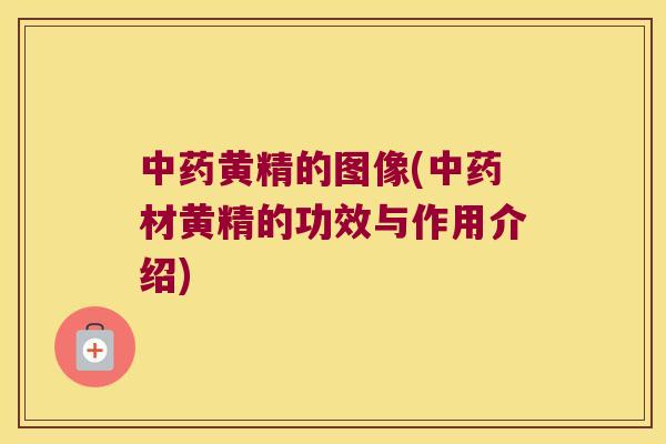 黄精的图像(材黄精的功效与作用介绍) 黄精的图像(材黄精的功效与作用介绍)