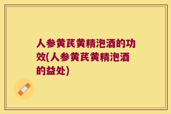 人参黄芪黄精泡酒的功效(人参黄芪黄精泡酒的益处)