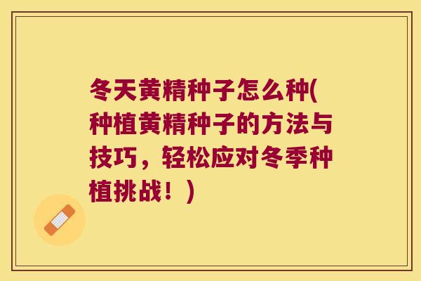 冬天黄精种子怎么种(种植黄精种子的方法与技巧,轻松应对冬季种植挑战!) 冬天黄精种子怎么种(种植黄精种子的方法与技巧,轻松应对冬季种植挑战!)
