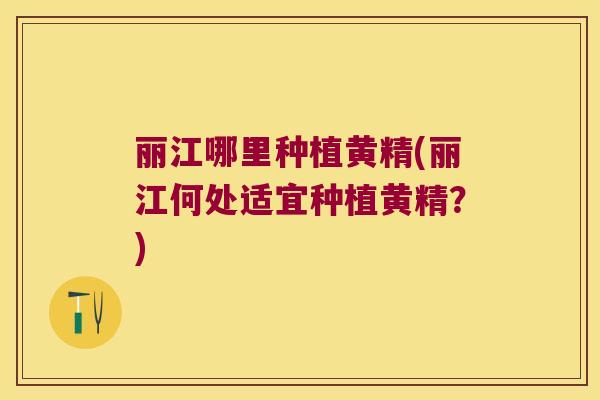 丽江哪里种植黄精(丽江何处适宜种植黄精?) 丽江哪里种植黄精(丽江何处适宜种植黄精?)