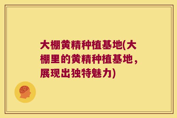 大棚黄精种植基地(大棚里的黄精种植基地,展现出独特魅力) 大棚黄精种植基地(大棚里的黄精种植基地,展现出独特魅力)
