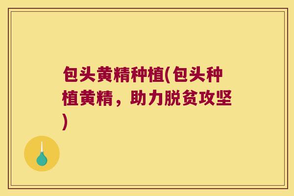 包头黄精种植(包头种植黄精，助力脱贫攻坚)