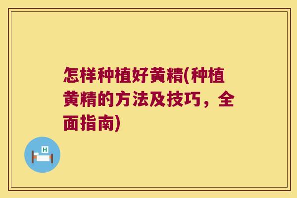 怎样种植好黄精(种植黄精的方法及技巧，全面指南)