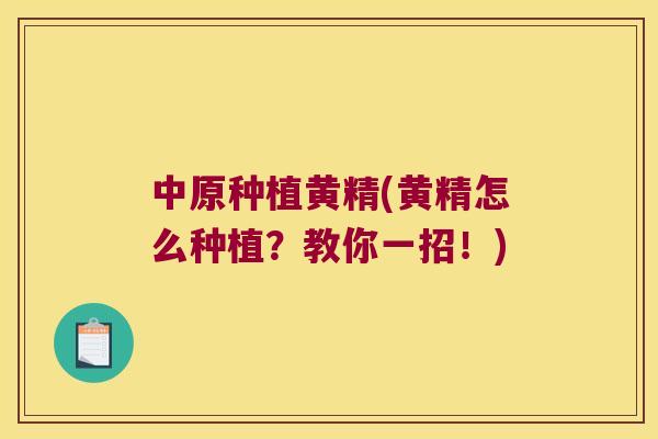 中原种植黄精(黄精怎么种植?教你一招!) 中原种植黄精(黄精怎么种植?教你一招!)