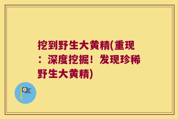 挖到野生大黄精(重现：深度挖掘！发现珍稀野生大黄精)