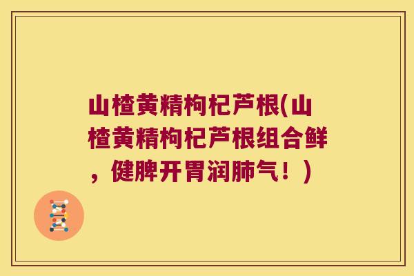 山楂黄精枸杞芦根(山楂黄精枸杞芦根组合鲜,健脾开胃润气!) 山楂黄精枸杞芦根(山楂黄精枸杞芦根组合鲜,健脾开胃润气!)