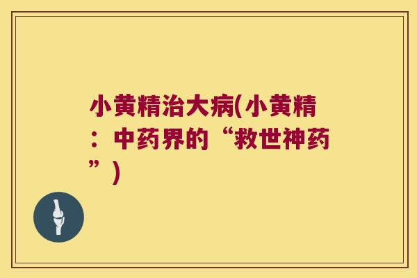 小黄精大(小黄精：界的“救世神药”)