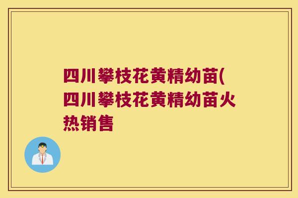 四川攀枝花黄精幼苗(四川攀枝花黄精幼苗火热销售