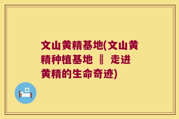 文山黄精基地(文山黄精种植基地 – 走进黄精的生命奇迹)