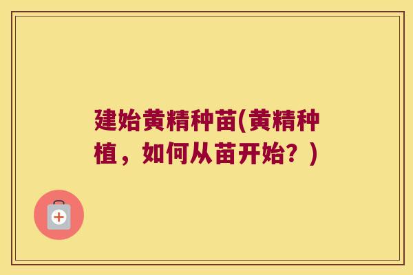 建始黄精种苗(黄精种植,如何从苗开始?) 建始黄精种苗(黄精种植,如何从苗开始?)