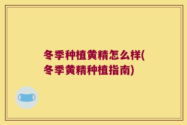 冬季种植黄精怎么样(冬季黄精种植指南) 冬季种植黄精怎么样(冬季黄精种植指南)