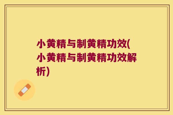 小黄精与制黄精功效(小黄精与制黄精功效解析) 小黄精与制黄精功效(小黄精与制黄精功效解析)