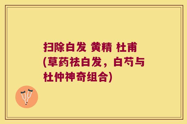 扫除白发 黄精 杜甫(草药祛白发，白芍与杜仲神奇组合)