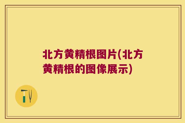 北方黄精根图片(北方黄精根的图像展示)