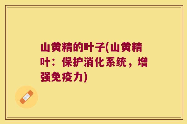 山黄精的叶子(山黄精叶：保护消化系统，增强力)