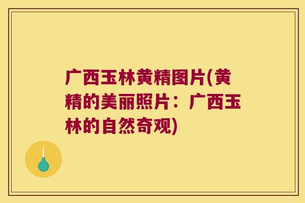 广西玉林黄精图片(黄精的美丽照片:广西玉林的自然奇观) 广西玉林黄精图片(黄精的美丽照片:广西玉林的自然奇观)