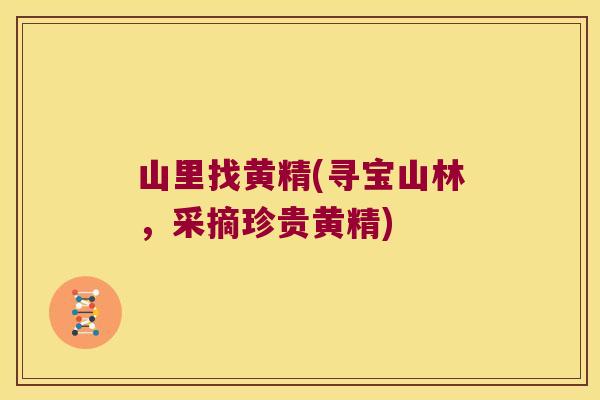 山里找黄精(寻宝山林,采摘珍贵黄精) 山里找黄精(寻宝山林,采摘珍贵黄精)