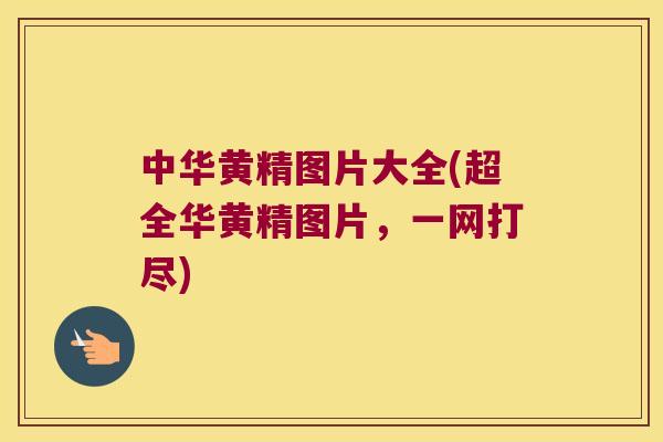 中华黄精图片大全(超全华黄精图片，一网打尽)