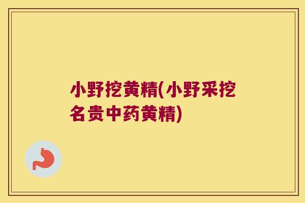 小野挖黄精(小野采挖名贵黄精)