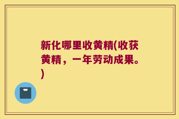 新化哪里收黄精(收获黄精,一年劳动成果。) 新化哪里收黄精(收获黄精,一年劳动成果。)