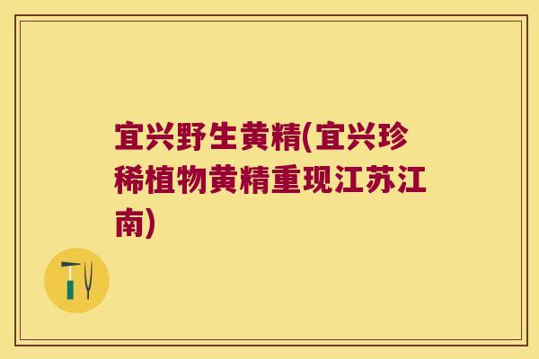 宜兴野生黄精(宜兴珍稀植物黄精重现江苏江南) 宜兴野生黄精(宜兴珍稀植物黄精重现江苏江南)