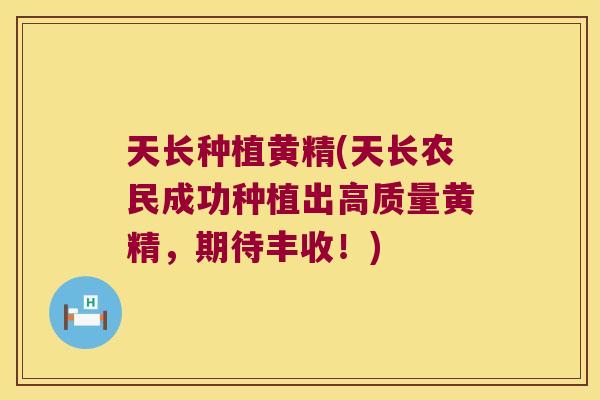 天长种植黄精(天长农民成功种植出高质量黄精,期待丰收!) 天长种植黄精(天长农民成功种植出高质量黄精,期待丰收!)