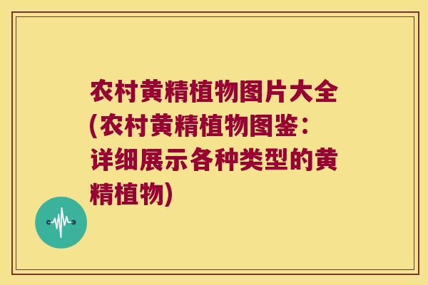 农村黄精植物图片大全(农村黄精植物图鉴：详细展示各种类型的黄精植物)