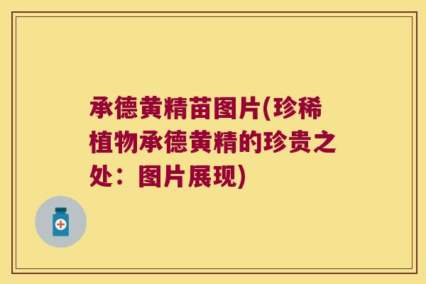 承德黄精苗图片(珍稀植物承德黄精的珍贵之处：图片展现)