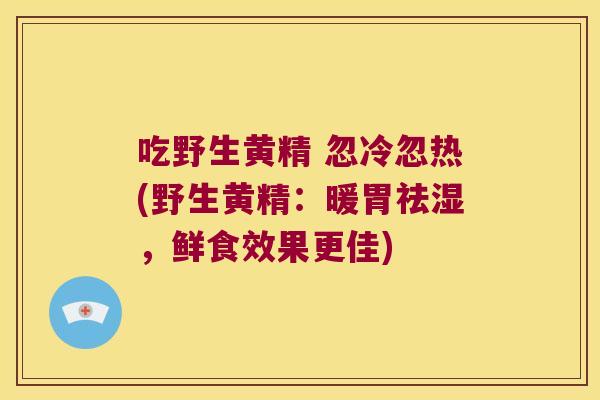 吃野生黄精 忽冷忽热(野生黄精:暖胃祛湿,鲜食效果更佳) 吃野生黄精 忽冷忽热(野生黄精:暖胃祛湿,鲜食效果更佳)