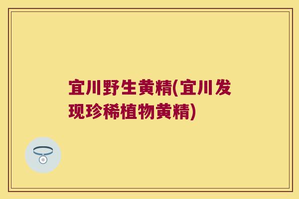 宜川野生黄精(宜川发现珍稀植物黄精)