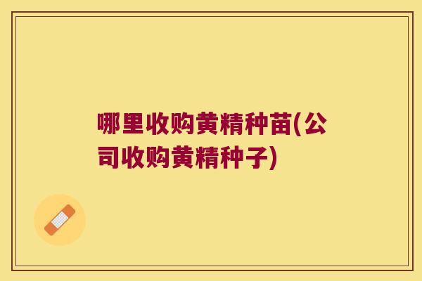 哪里收购黄精种苗(公司收购黄精种子)