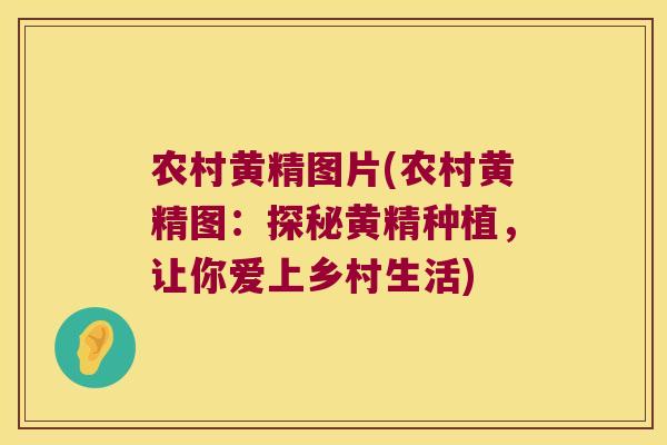 农村黄精图片(农村黄精图：探秘黄精种植，让你爱上乡村生活)