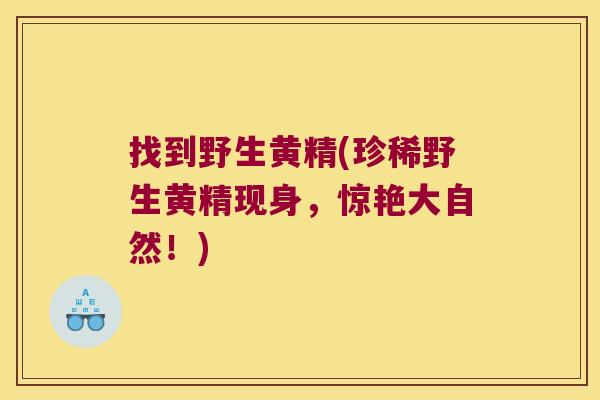 找到野生黄精(珍稀野生黄精现身，惊艳大自然！)