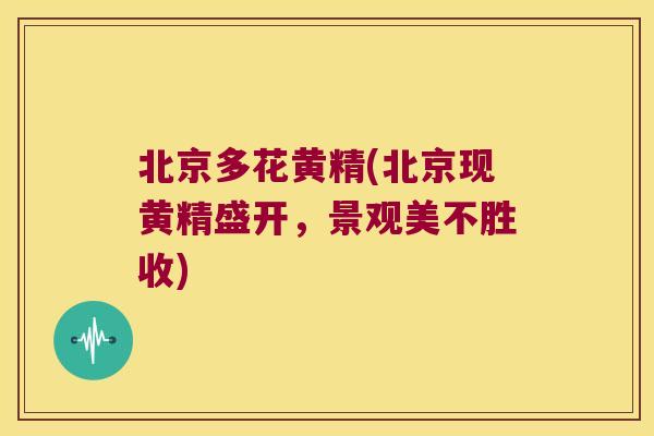 北京多花黄精(北京现黄精盛开，景观美不胜收)