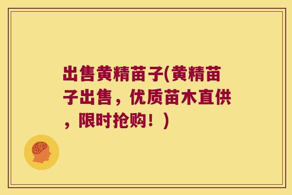 出售黄精苗子(黄精苗子出售，优质苗木直供，限时抢购！)