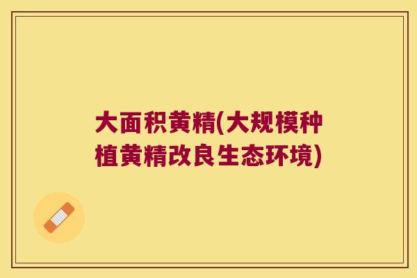 大面积黄精(大规模种植黄精改良生态环境)