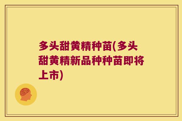 多头甜黄精种苗(多头甜黄精新品种种苗即将上市) 多头甜黄精种苗(多头甜黄精新品种种苗即将上市)
