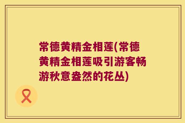 常德黄精金相莲(常德黄精金相莲吸引游客畅游秋意盎然的花丛) 常德黄精金相莲(常德黄精金相莲吸引游客畅游秋意盎然的花丛)