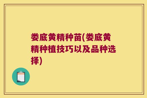 娄底黄精种苗(娄底黄精种植技巧以及品种选择)