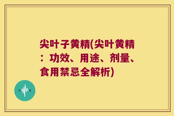 尖叶子黄精(尖叶黄精：功效、用途、剂量、食用禁忌全解析)