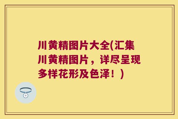 川黄精图片大全(汇集川黄精图片，详尽呈现多样花形及色泽！)