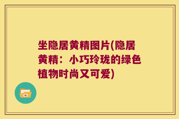 坐隐居黄精图片(隐居黄精：小巧玲珑的绿色植物时尚又可爱)