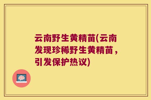 云南野生黄精苗(云南发现珍稀野生黄精苗,引发保护热议) 云南野生黄精苗(云南发现珍稀野生黄精苗,引发保护热议)