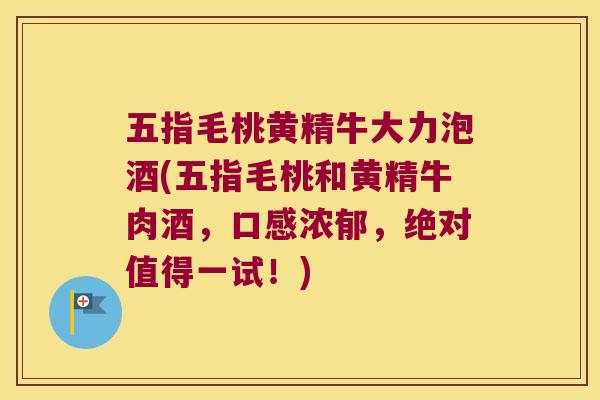 五指毛桃黄精牛大力泡酒(五指毛桃和黄精牛肉酒，口感浓郁，绝对值得一试！)